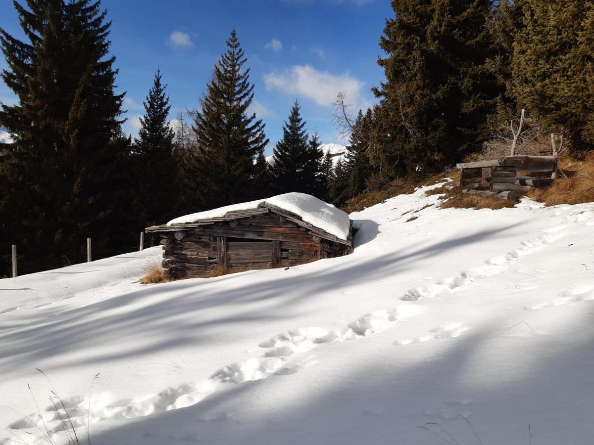 Appartement Gsaller Hopfgarten in Defereggen ภายนอก รูปภาพ